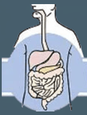 Digestive and Liver Center of Florida