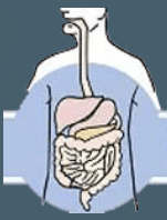 Digestive and Liver Center of Florida